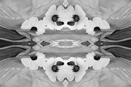 seamless. the black and white colors of the fabric are inlaid with flora and fauna. dressの写真素材