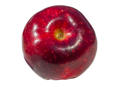 Apple on a white background.の写真素材