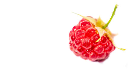 Raspberry. It's time to rejoice - it's finally raspberry season. There is something magical about...