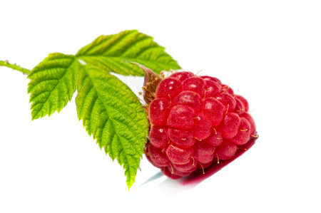 Raspberry. it is a healthy, tasty berry that consumers should enjoy during the summer months....