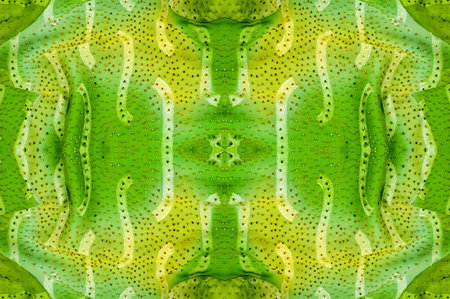Seamless kaleidoscope. Fabric silk green-blue shades. Vibrant colors and scalloped shapes create a...