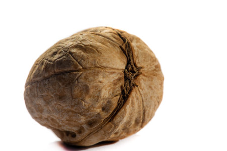 Walnut. The best thing about walnuts is the smell.