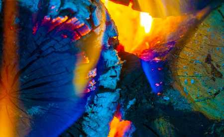 Create a cozy and warm atmosphere with a beautiful fire. Burning logs add atmosphere to any space....