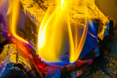 Create a warm and cozy atmosphere with a beautiful fire Burning logs create both warmth and...