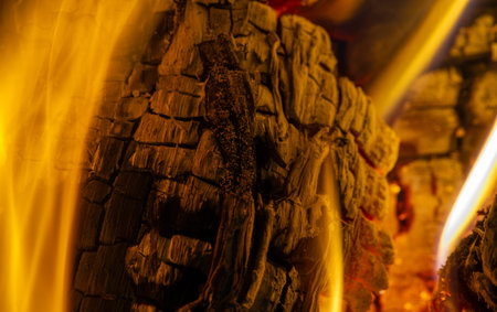 Fire in the fireplace. There is something very romantic about a real fire, but why? We guess why we...