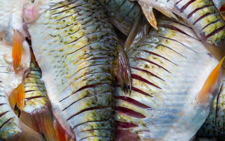 The fish is ready to eat. These are aquatic cold-blooded vertebrates that live both in the sea and...