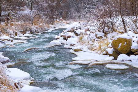 The river freezes in winter. My favorite part of winter with our local river is how the mist rolls...