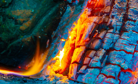 Create a cozy and warm atmosphere with a beautiful fire. Burning logs add atmosphere to any space....