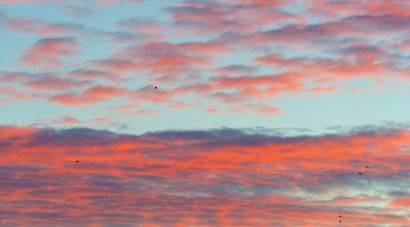 sky, Clouds float into my life, not to bring rain or cause a storm, but to add color to my sunset...