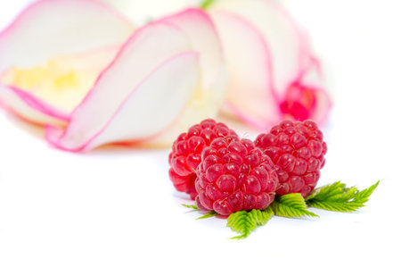 Raspberries and rose petals isolated on a white background.
