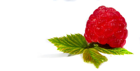 Raspberries. Wild red raspberries produce small, tart red berries. They are delicious fresh but also...