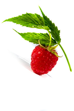 Raspberry is juicy and perfect for your most fruity mood. Give some joy to your table. Surprisingly...