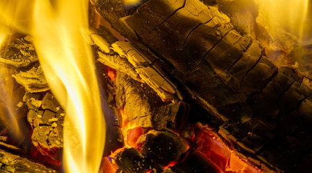 Fire. Enjoy the warm relaxing view of the fireplace! This crackling flame burning fireplace is...
