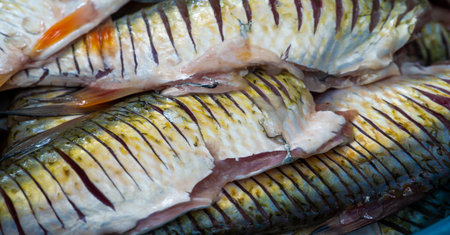 The fish is ready to eat. These are aquatic cold-blooded vertebrates that live both in the sea and in fresh water. Many types of edible fish are excellent sources of nutrients.の写真素材