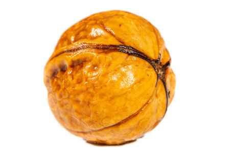 Walnut. I can eat black walnut all the time, it's not the taste of the week!