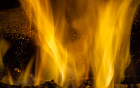 Fire. Fire is an important process affecting ecological systems around the world. Positive effects include stimulating growth and maintaining various ecological systemsの写真素材