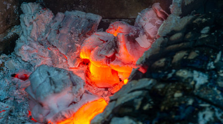 Fire. Fire is an important process affecting ecological systems around the world. Positive effects...