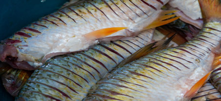 The fish is ready to eat. Fish contains high quality protein and other essential nutrients and is an...