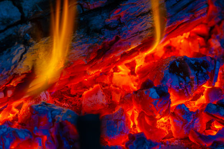 Create a warm and cozy atmosphere with burning wood. The flame is bright and energetic. Adds warmth...