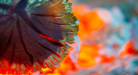 Bright wood fire Provides warmth and ambience to any space Creates a cozy and welcoming atmosphere Ideal for outdoor meetings and camping tripsの写真素材