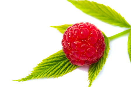 Raspberry is juicy and perfect for your most fruity mood. Give some joy to your table. Surprisingly...