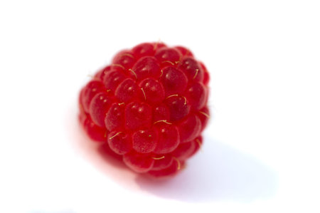 Raspberries are an excellent source of vitamin C, manganese and dietary fiber. They are also a very...