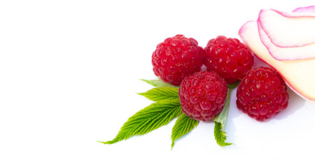 Raspberry is sexy, juicy and perfect for your most fruity mood. Give some joy to your table....