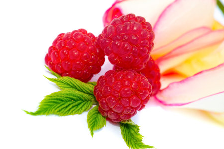 Raspberries are an excellent source of vitamin C, manganese and dietary fiber. They are also a very...