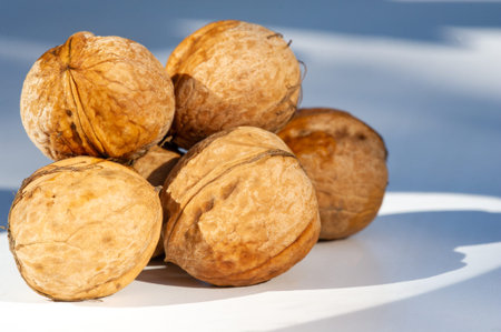 Walnut.