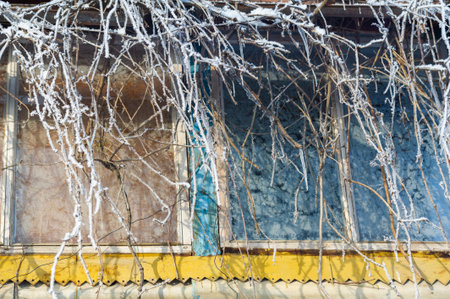 The mountains. Winter. No fuss, no deadlines, just absolute peace and relaxation. Deep snow-covered forests, rough trees and shrubs, white tops of snow-covered treesの写真素材