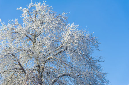 The mountains. Winter is coming and together with the falling snow, a sense of togetherness descends, making this winter wonderland the perfect time and place for a romantic getaway.の写真素材