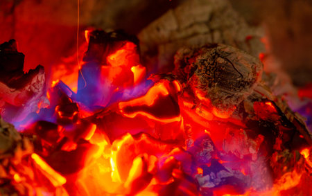 Fire. Fire is an important process affecting ecological systems around the world. Positive effects include stimulating growth and maintaining various ecological systemsの写真素材