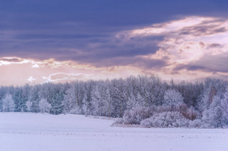The river freezes in winter. My favorite part of winter with our local river is how the mist rolls in and covers the surrounding forest, creating a soft, mysterious yet soothing place.の写真素材