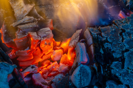 Fire. Fire is an important process affecting ecological systems around the world. Positive effects include stimulating growth and maintaining various ecological systemsの写真素材