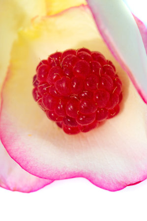 Raspberries. Wild red raspberries produce small, tart red berries. They are delicious fresh but also...