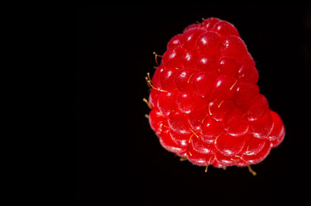 Raspberries. Wild red raspberries produce small, tart red berries. They are delicious fresh but also...