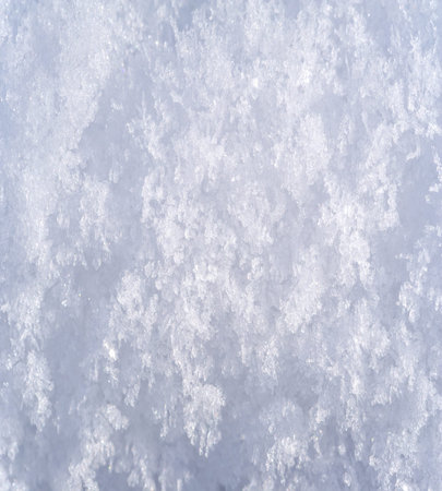 Snow covering the ground, trees, grass. I wonder if snow loves trees and fields, what kisses them so...