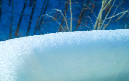 winter theme with snow theme elements. Create visually appealing designs with unique textures and...
