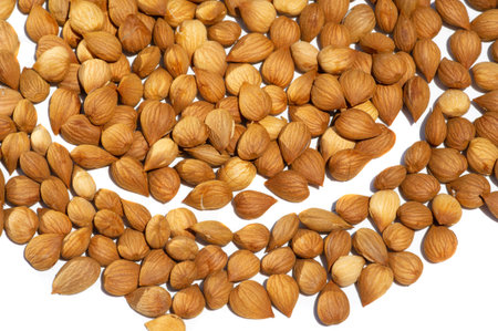 Apricot kernels, in the food industry, apricot kernels can be used in the preparation of low-fat biscuits, cookies, cakes, in the manufacture of antimicrobial films.の写真素材