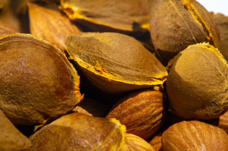 Apricot Kernels, Apricot Kernels can help fight various diseases such as cancer and cancer...
