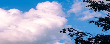 Clouds dawn sunset romance. A magical, mesmerizing, mind-blowing moment just got better when you were by my side.の写真素材