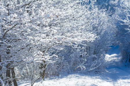 The mountains. Winter is coming and together with the falling snow, a sense of togetherness...