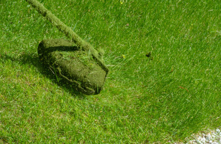 The process of mowing a lawn with a hand mower. A worker mows tall grass with an electric or...