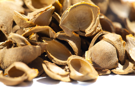 Apricot kernel. Raw materials for production. Natural, vegetable, scrub. Apricot oil, which is part...