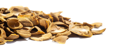 Apricot kernel. Raw materials for production. Natural, vegetable, scrub. Apricot oil, which is part...
