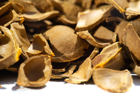 Apricot kernel. Raw materials for production. Natural, vegetable, scrub. Apricot oil, which is part...