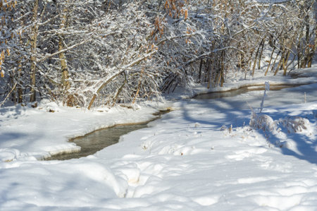 The river freezes in winter. My favorite winter river Silence in the forest was magical, broken only by the sound of the wind and the stream running, still alive, under the water. snow and iceの写真素材