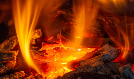Fire in the fireplace. Aged wood smells wonderful, so if you're going to burn it, choose logs for...