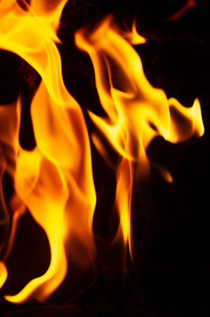 Fire in the fireplace. Aged wood smells wonderful, so if you're going to burn it, choose logs for...
