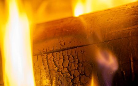 Fire in the fireplace. In the warm light of a campfire, our pupils naturally dilate.